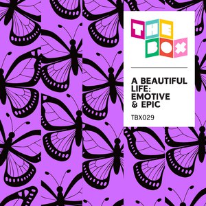 美国又大又粗性交片
