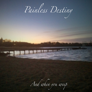 美国又大又粗性交片
